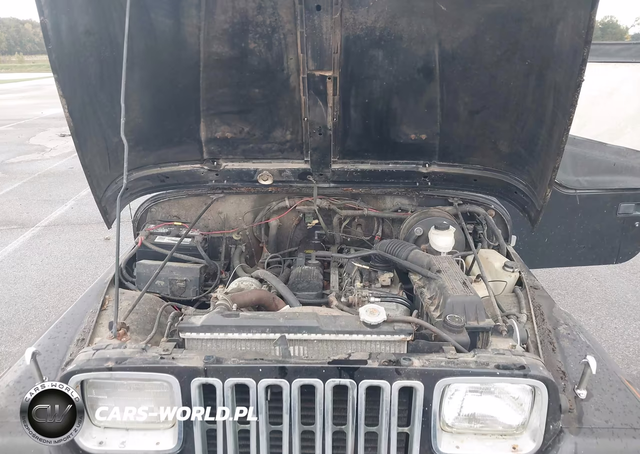 1995 Jeep Wrangler - Yj Se VIN:1J4FY29S3SP245317 - 10