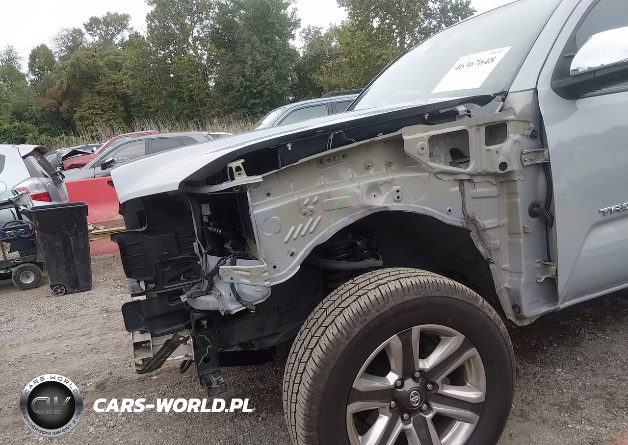 2019 Toyota Tacoma Limited VIN:3TMGZ5AN6KM203258 - 18