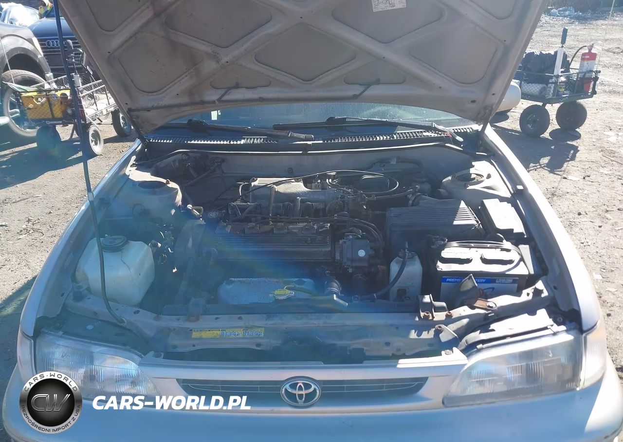 1996 Toyota Corolla Dx VIN:2T1BB02E1TC153766 - 10