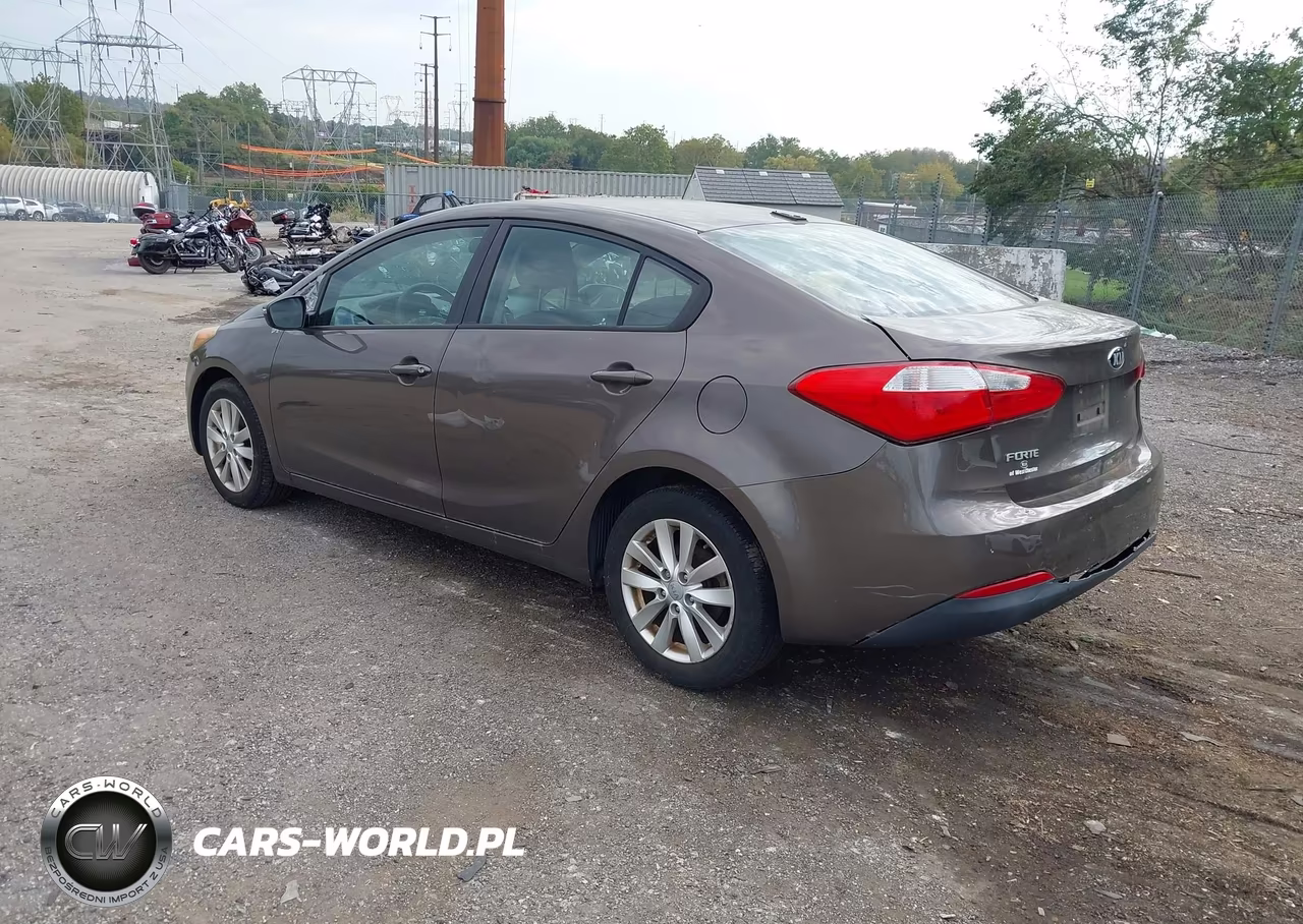 2014 Kia Forte Lx VIN:KNAFX4A68E5139137 - 3
