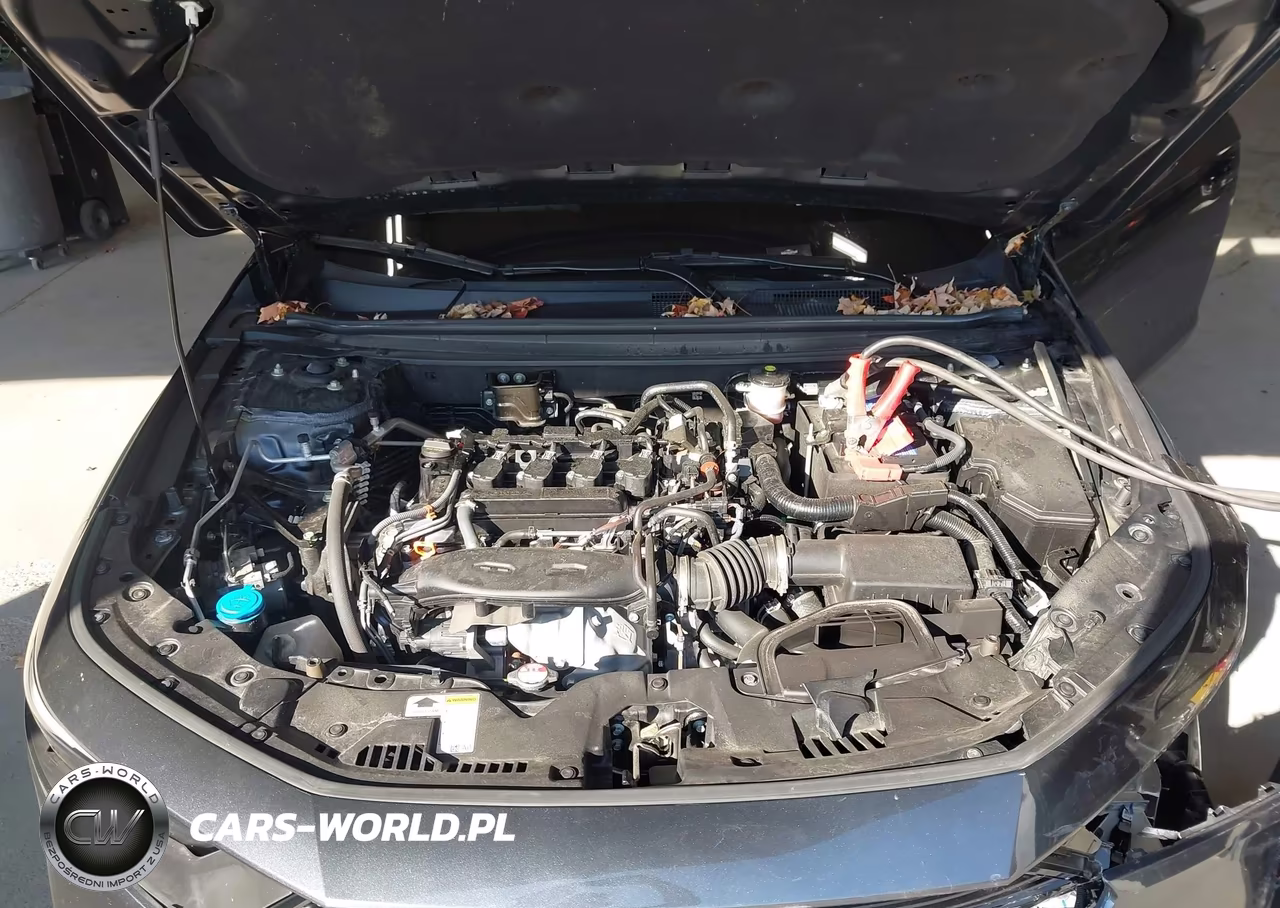 2024 Honda Accord Ex VIN:1HGCY1F3XRA041497 - 10