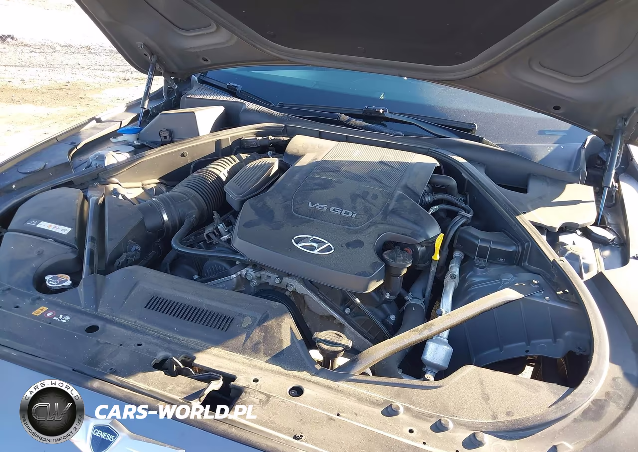 2016 Hyundai Genesis 3.8 VIN:KMHGN4JE5GU111420 - 10