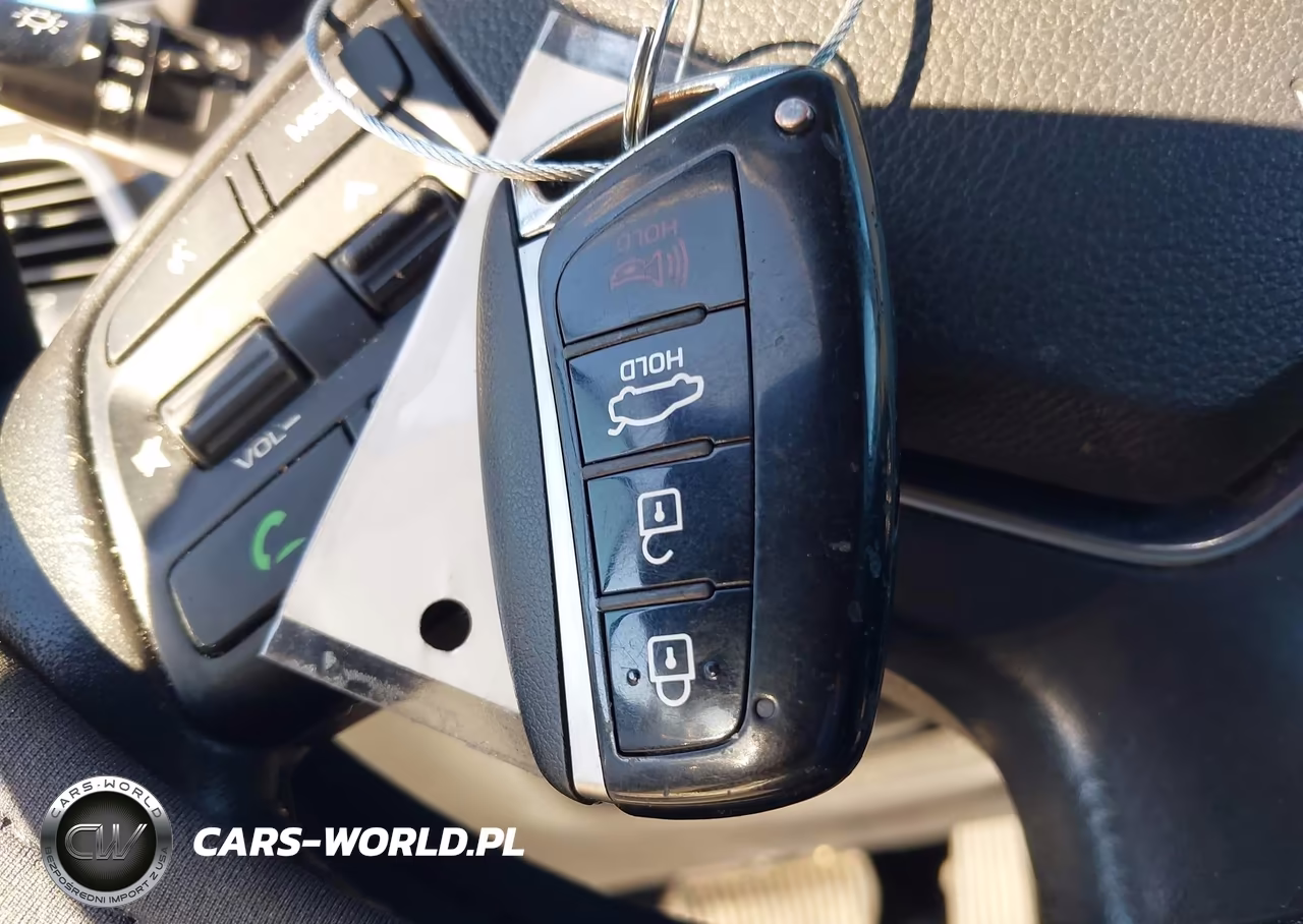 2016 Hyundai Genesis 3.8 VIN:KMHGN4JE5GU111420 - 11