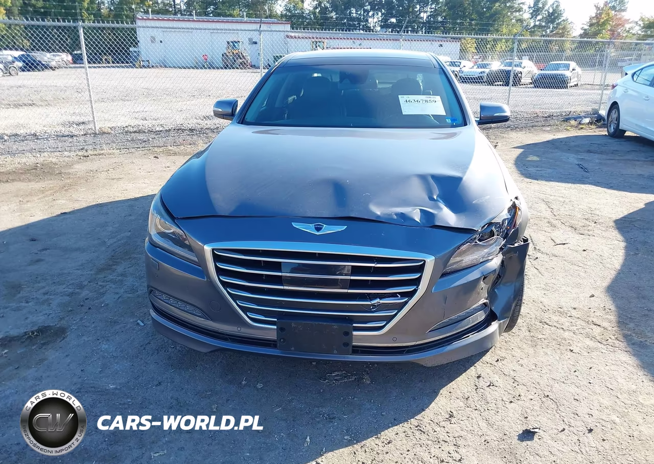 2016 Hyundai Genesis 3.8 VIN:KMHGN4JE5GU111420 - 12