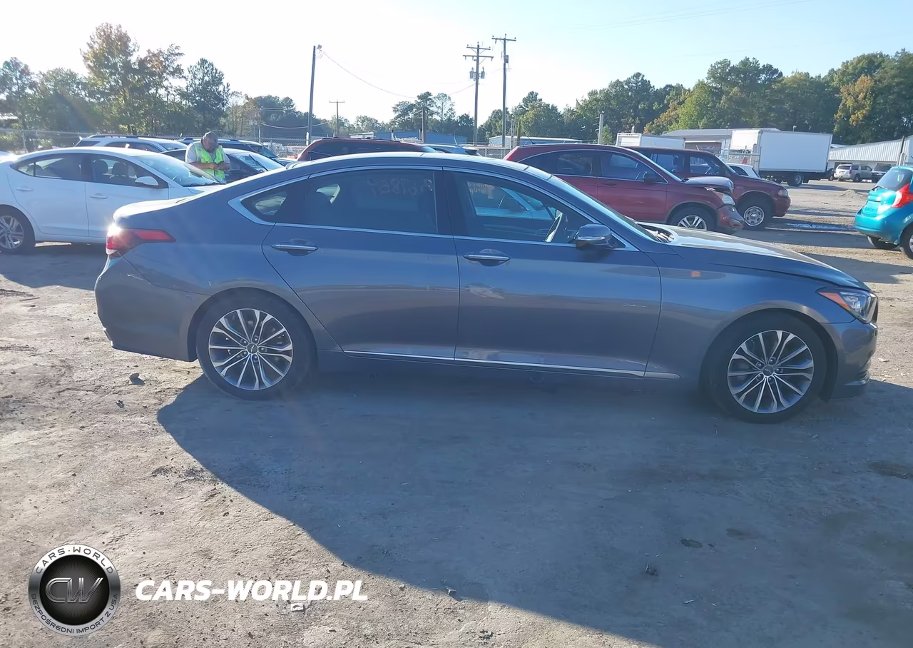 2016 Hyundai Genesis 3.8 VIN:KMHGN4JE5GU111420 - 13