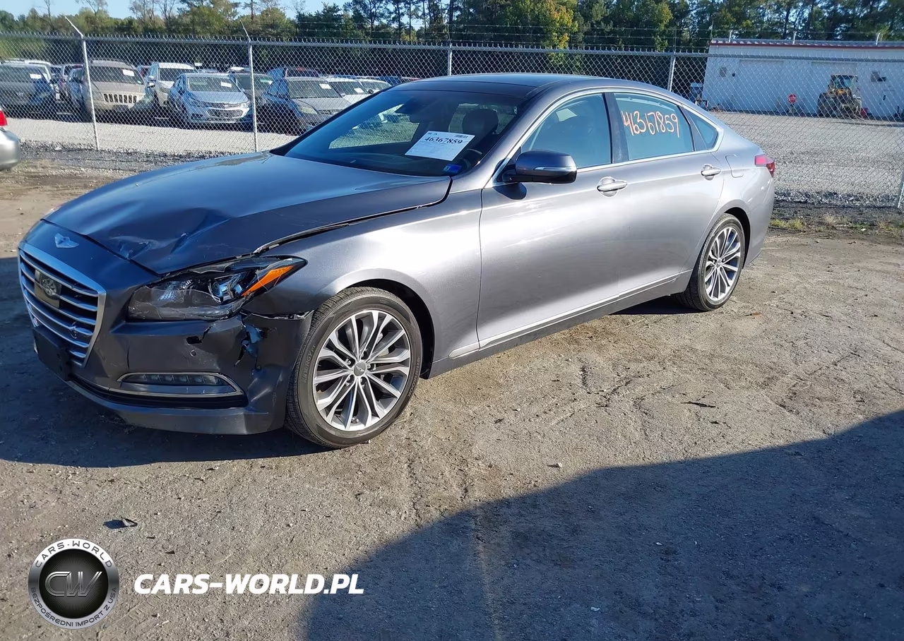 2016 Hyundai Genesis 3.8 VIN:KMHGN4JE5GU111420 - 2