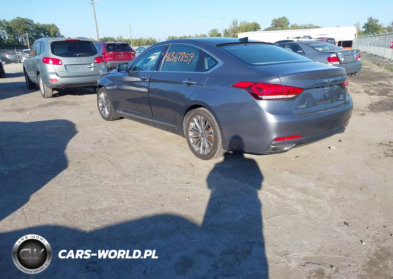 2016 Hyundai Genesis 3.8 VIN:KMHGN4JE5GU111420 - 3