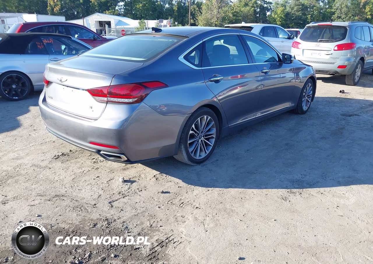 2016 Hyundai Genesis 3.8 VIN:KMHGN4JE5GU111420 - 4