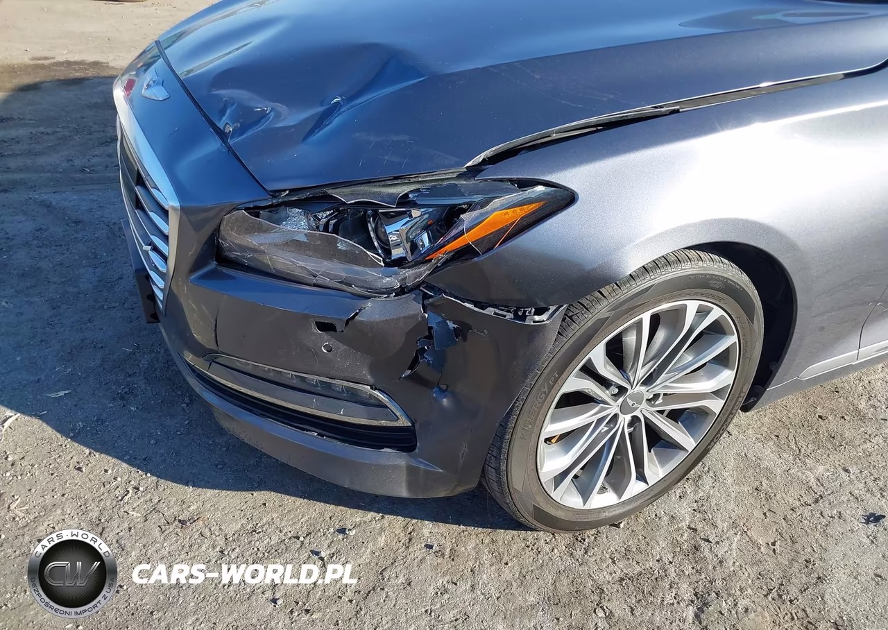 2016 Hyundai Genesis 3.8 VIN:KMHGN4JE5GU111420 - 6
