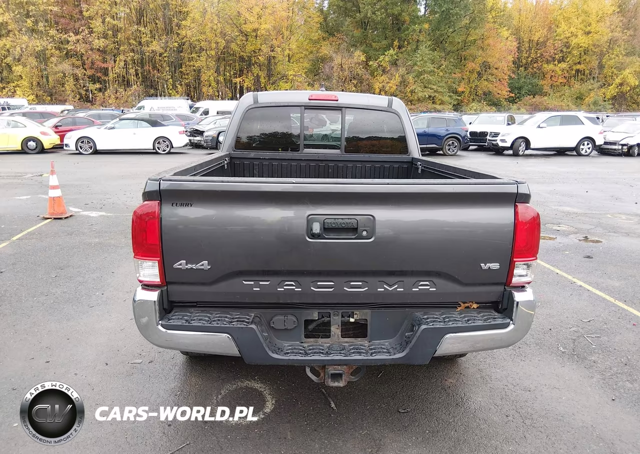2016 Toyota Tacoma Sr5 V6 VIN:5TFSZ5AN1GX034309 - 17