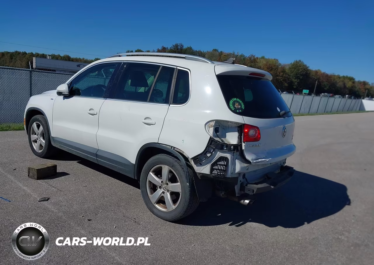 2010 Volkswagen Tiguan Wolfsburg Edition VIN:WVGBV7AX6AW530269 - 3