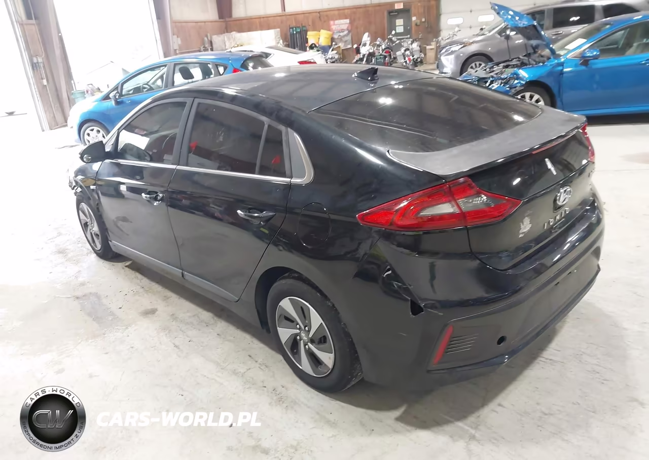2017 Hyundai Ioniq Hybrid Sel VIN:KMHC75LC2HU049650 - 3