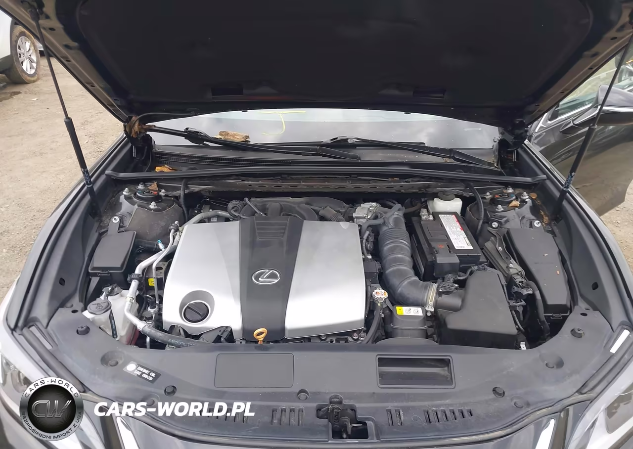 2020 Lexus Es 350 VIN:58ADZ1B15LU071117 - 10