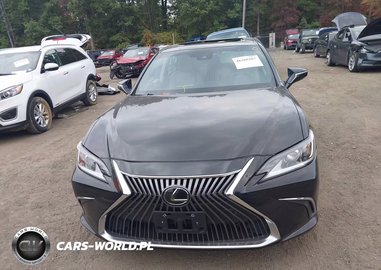 2020 Lexus Es 350 VIN:58ADZ1B15LU071117 - 12