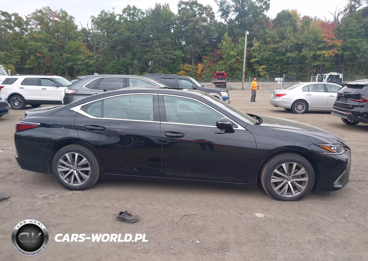 2020 Lexus Es 350 VIN:58ADZ1B15LU071117 - 13