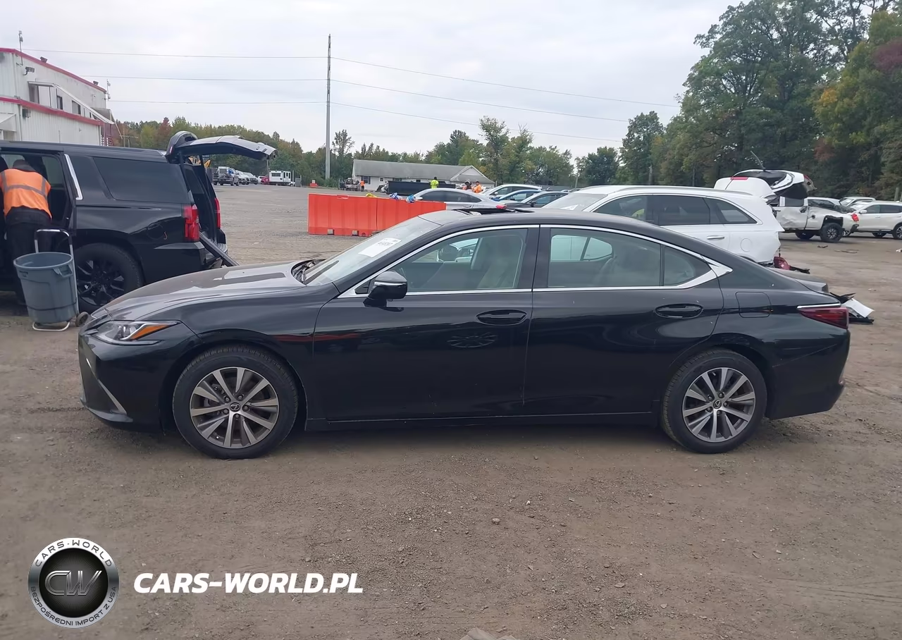 2020 Lexus Es 350 VIN:58ADZ1B15LU071117 - 14