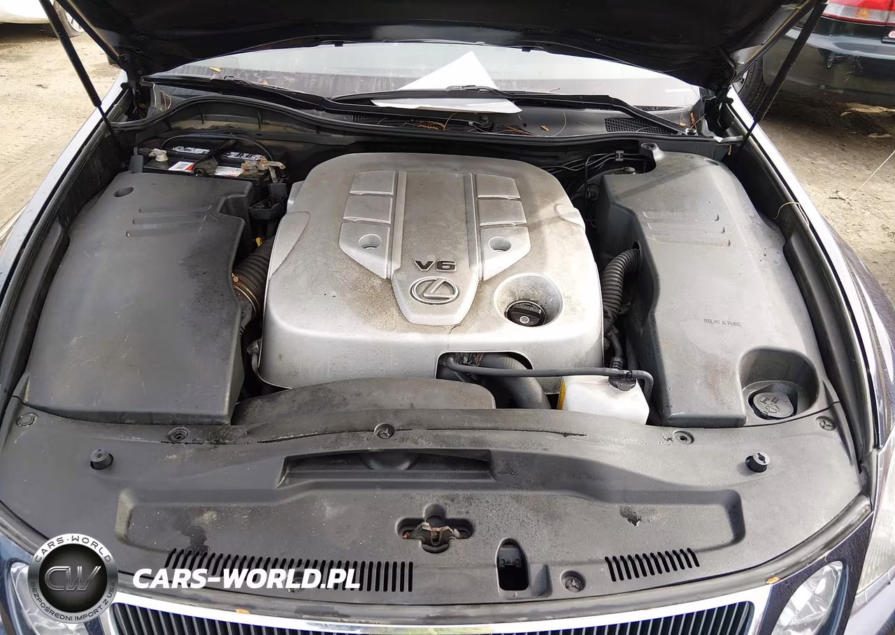 2006 Lexus Gs 300 VIN:JTHCH96S560004314 - 10