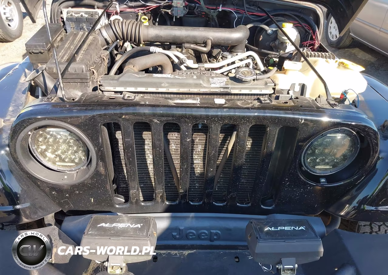 2004 Jeep Wrangler Sahara VIN:1J4FA59SX4P801597 - 12
