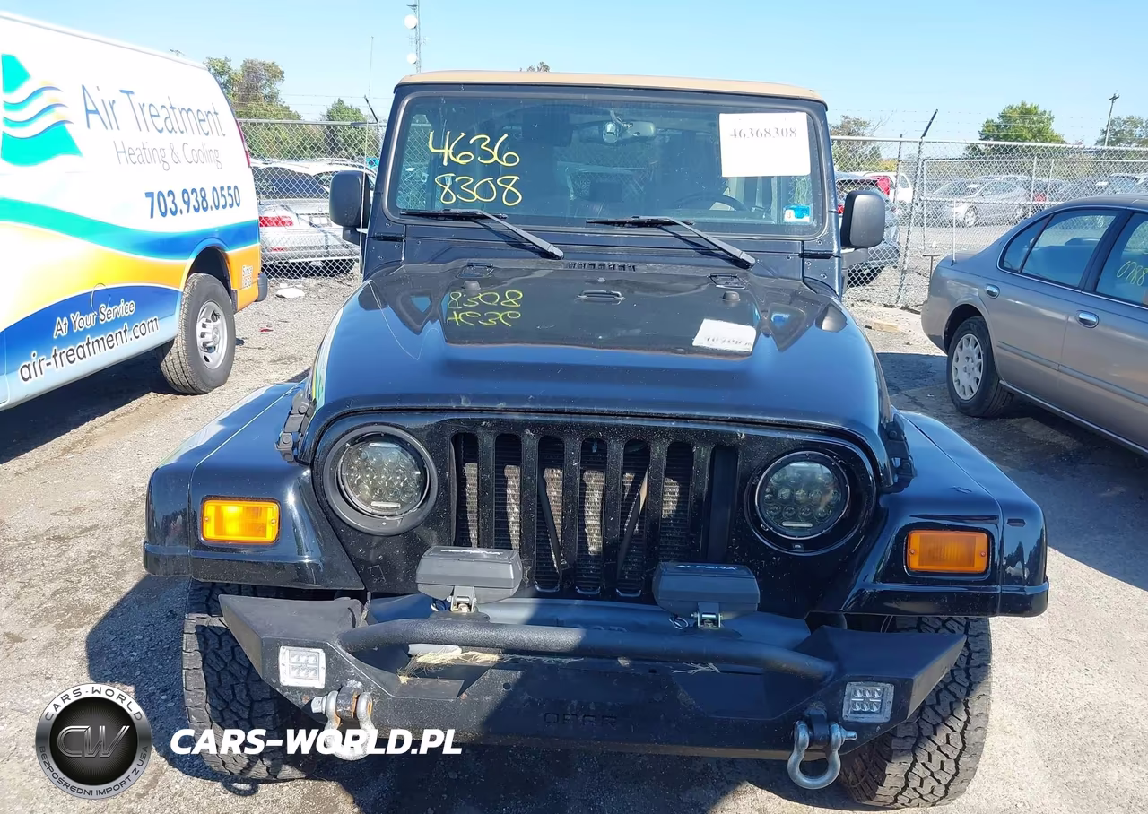 2004 Jeep Wrangler Sahara VIN:1J4FA59SX4P801597 - 13