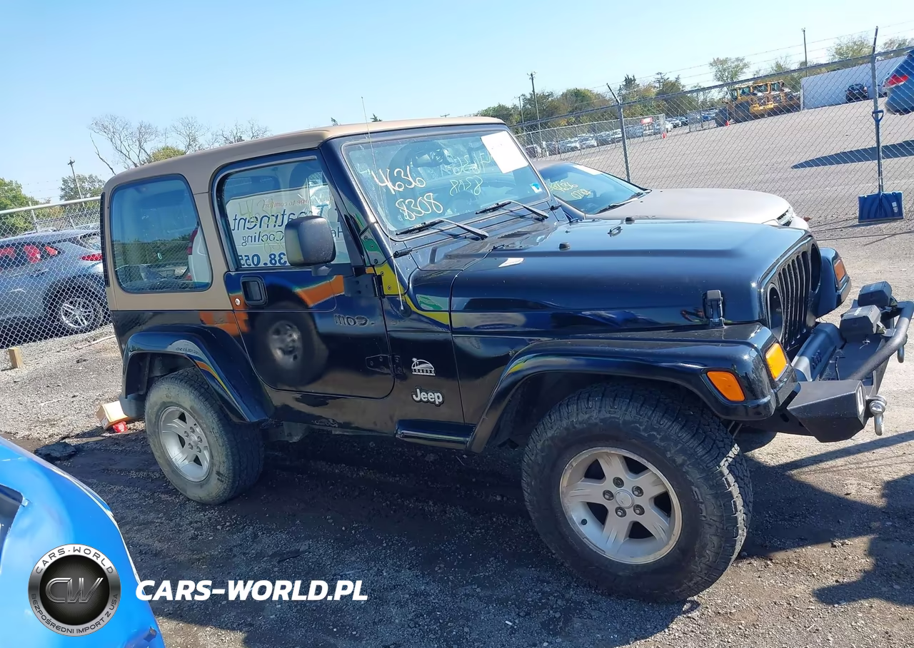 2004 Jeep Wrangler Sahara VIN:1J4FA59SX4P801597 - 14