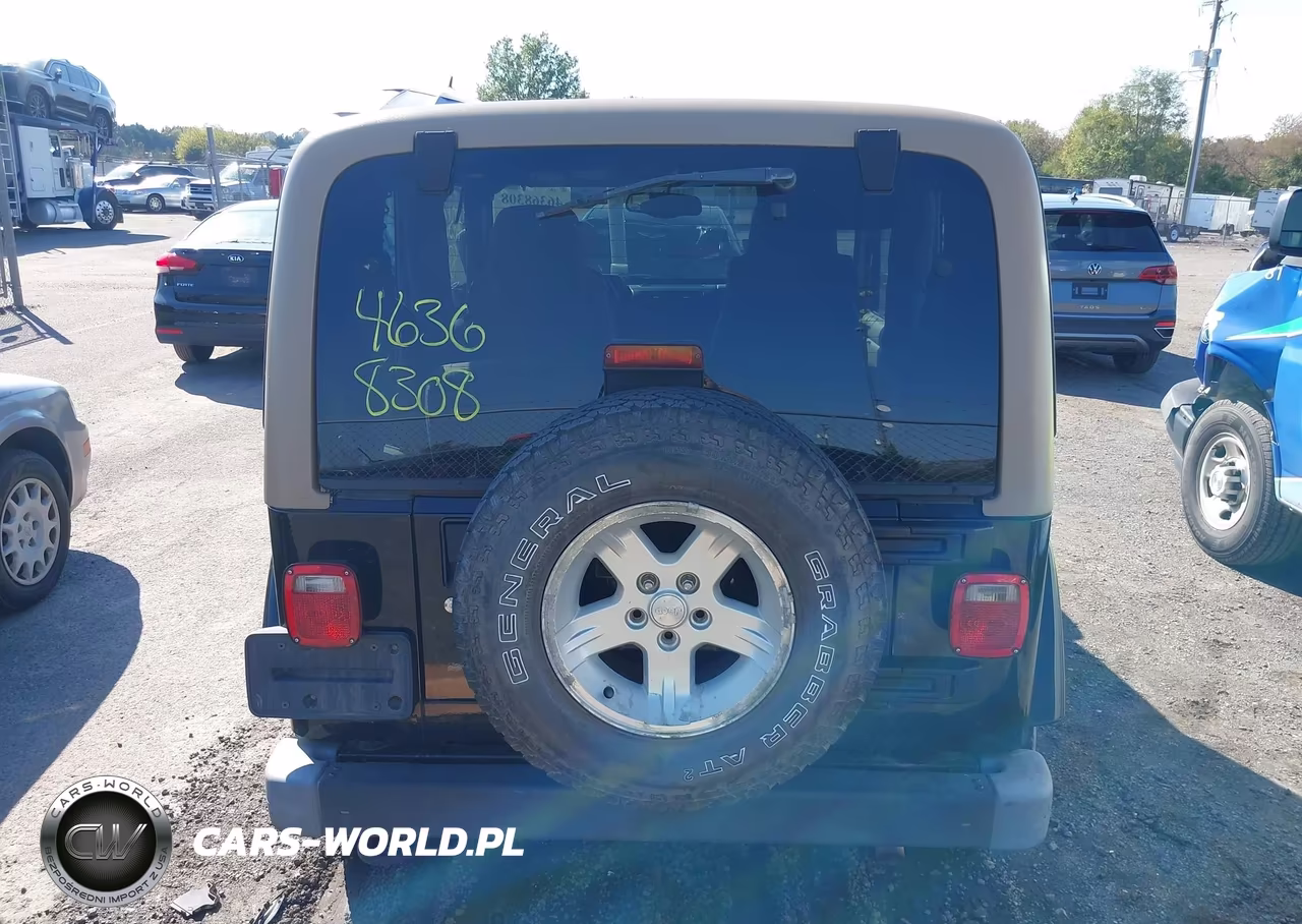 2004 Jeep Wrangler Sahara VIN:1J4FA59SX4P801597 - 17