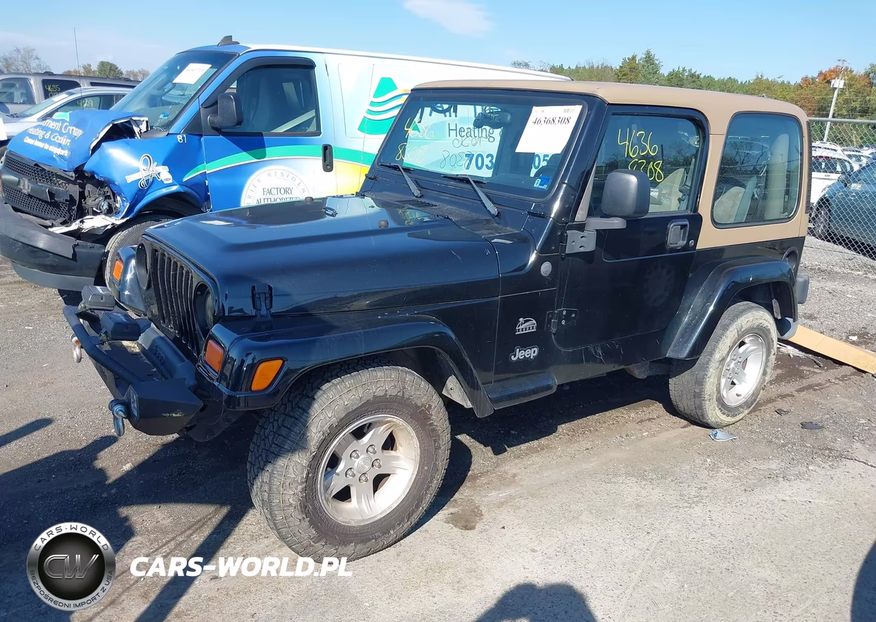 2004 Jeep Wrangler Sahara VIN:1J4FA59SX4P801597 - 2