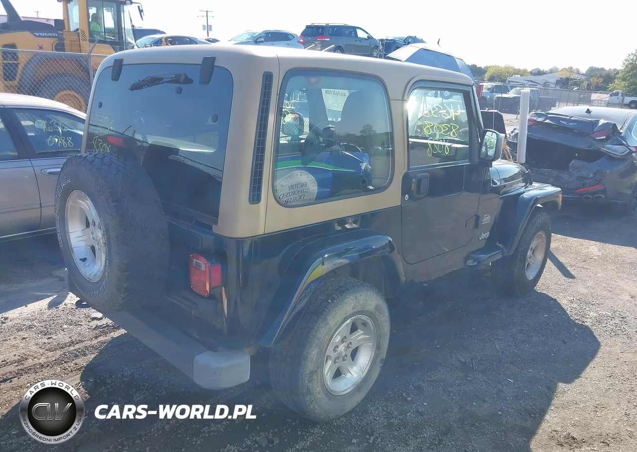2004 Jeep Wrangler Sahara VIN:1J4FA59SX4P801597 - 4