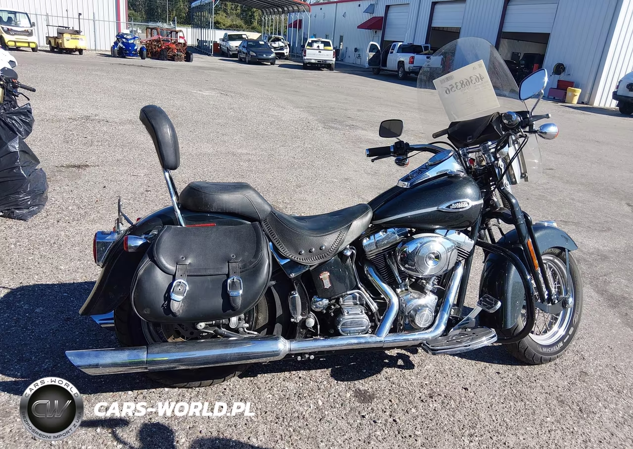 2005 Harley-Davidson Flsts VIN:1HD1BRY135Y027331 - 12
