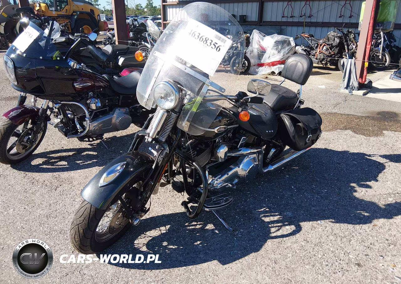 2005 Harley-Davidson Flsts VIN:1HD1BRY135Y027331 - 2