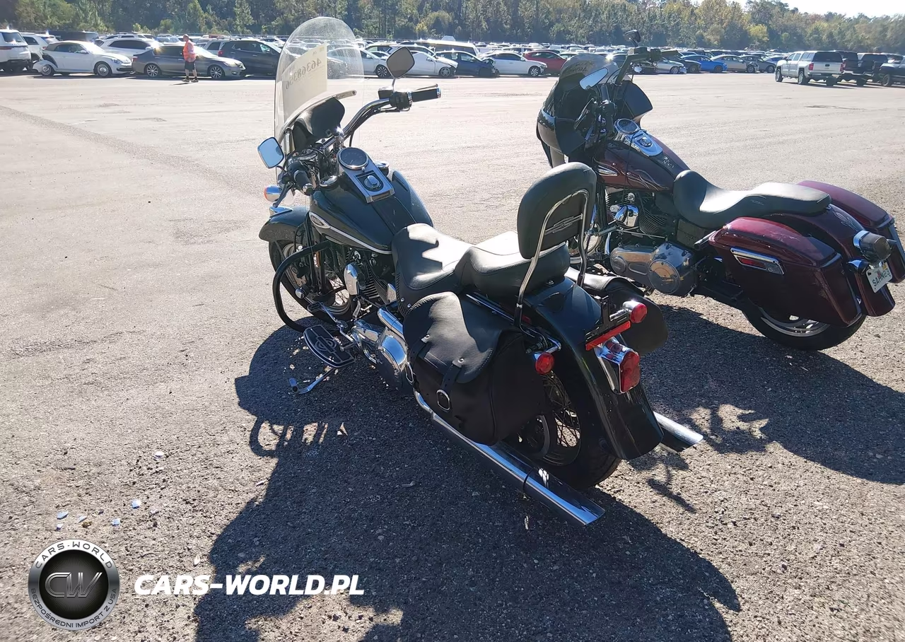 2005 Harley-Davidson Flsts VIN:1HD1BRY135Y027331 - 3