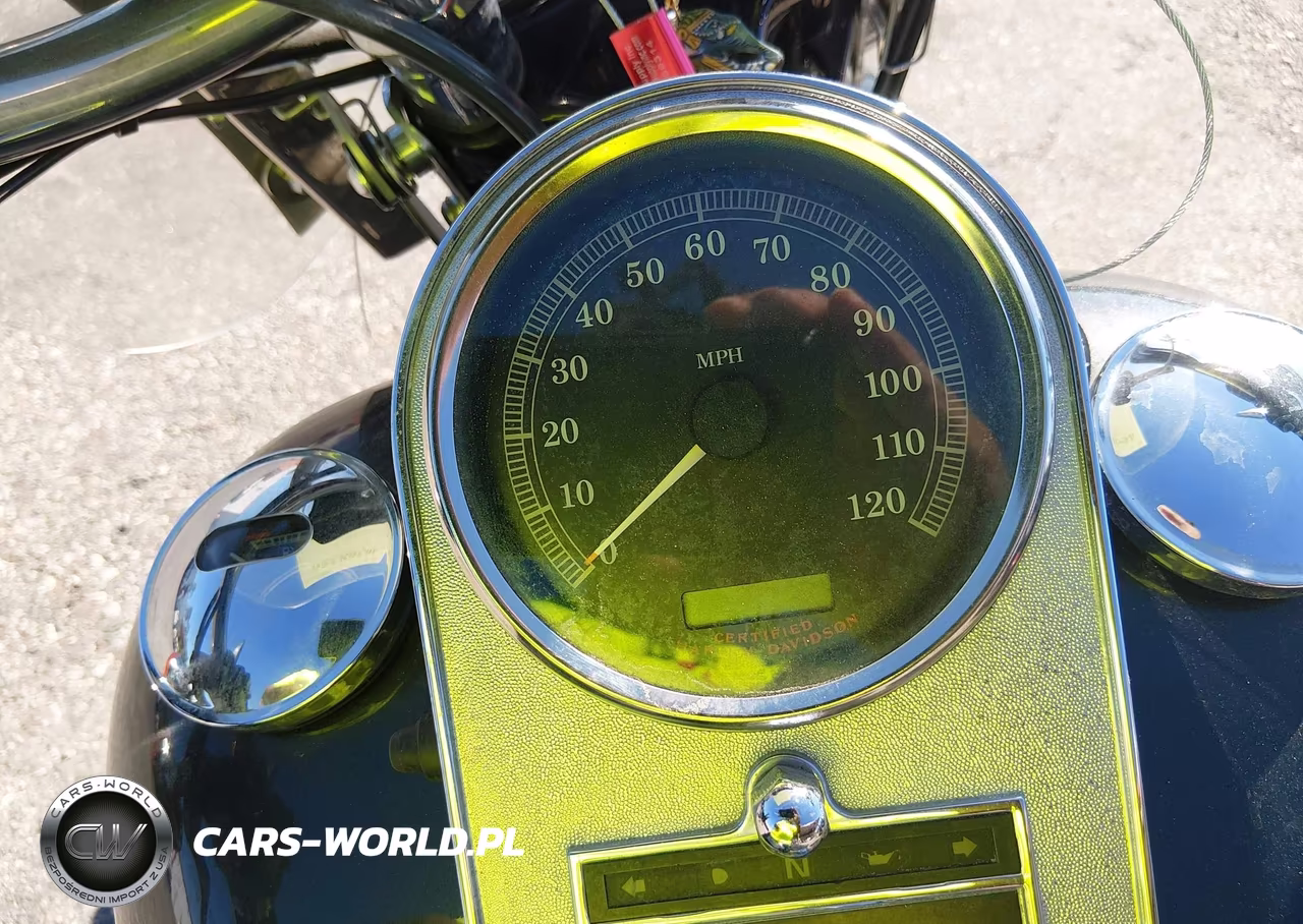 2005 Harley-Davidson Flsts VIN:1HD1BRY135Y027331 - 7