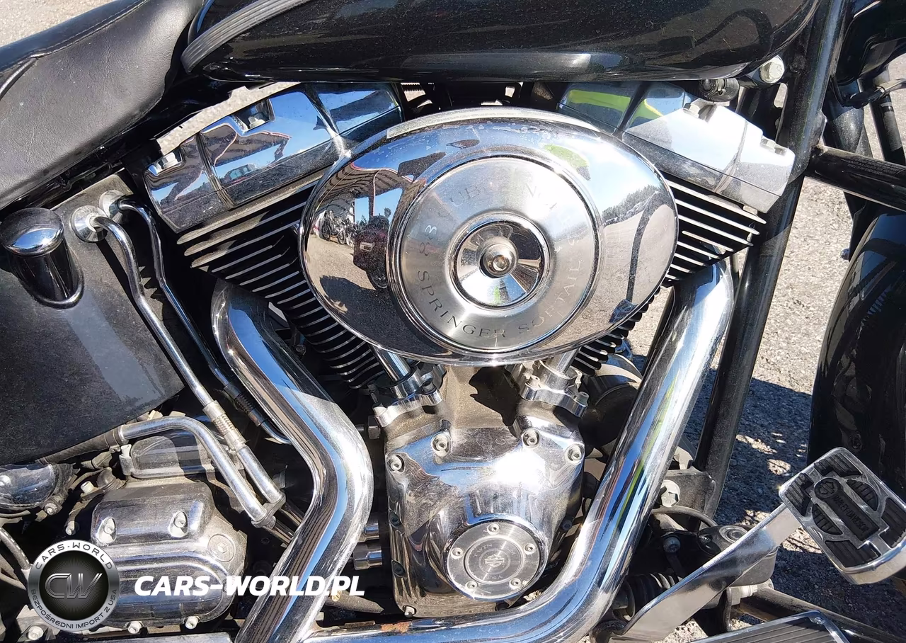 2005 Harley-Davidson Flsts VIN:1HD1BRY135Y027331 - 8