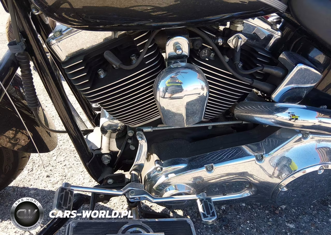 2005 Harley-Davidson Flsts VIN:1HD1BRY135Y027331 - 9