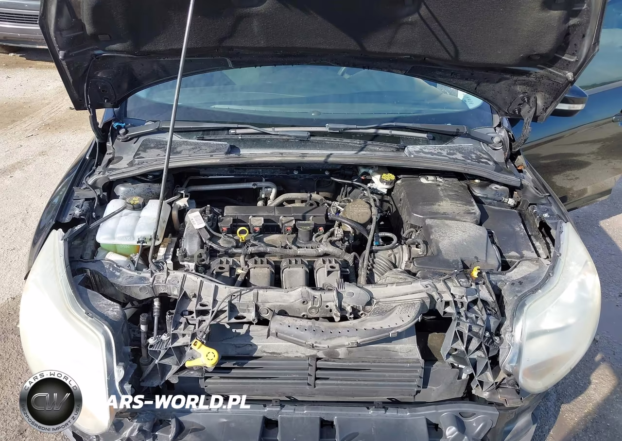 2014 Ford Focus Se VIN:1FADP3F20EL152959 - 10
