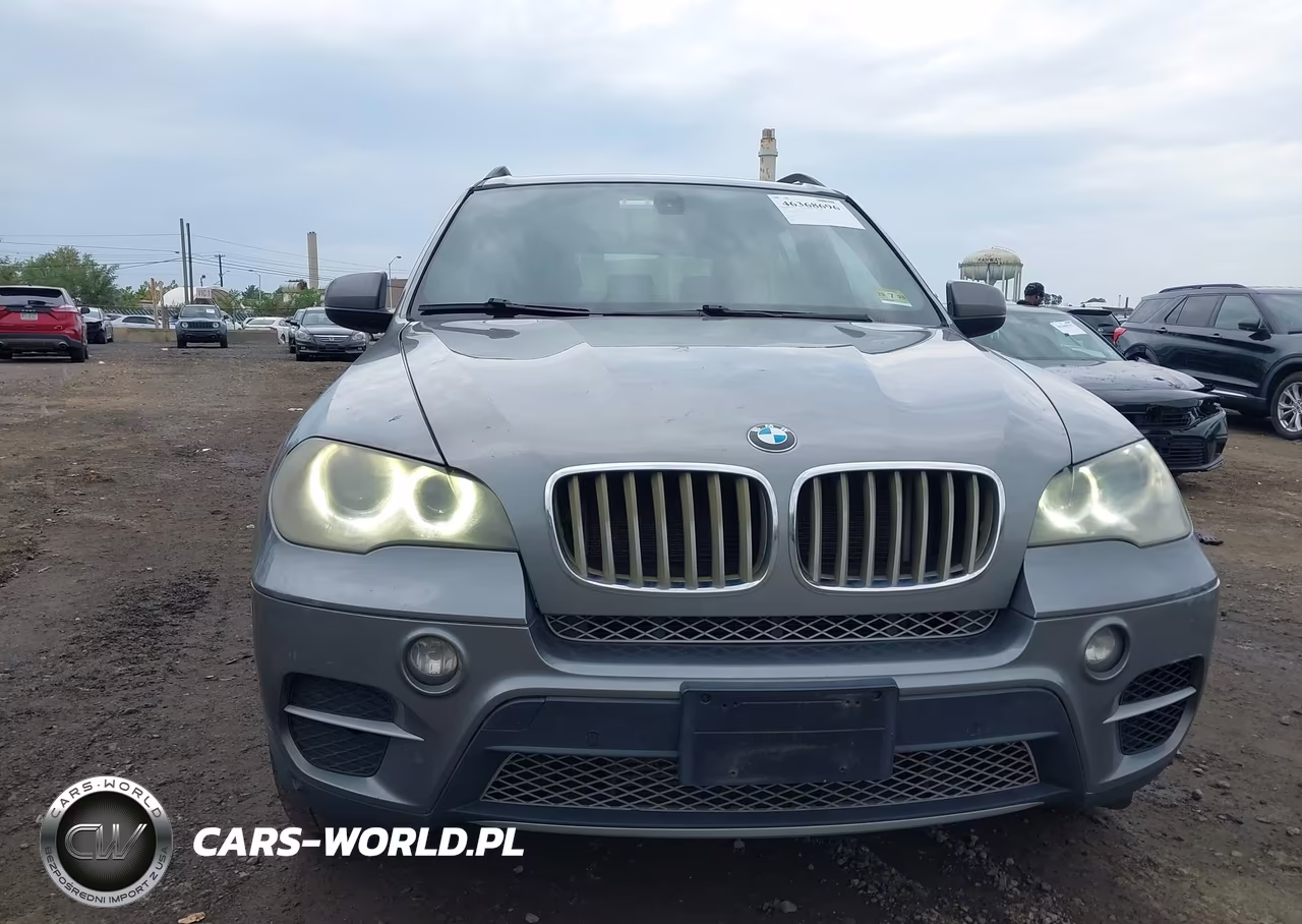 2012 BMW X5 xDrive35D VIN:5UXZW0C51CL669196 - 19