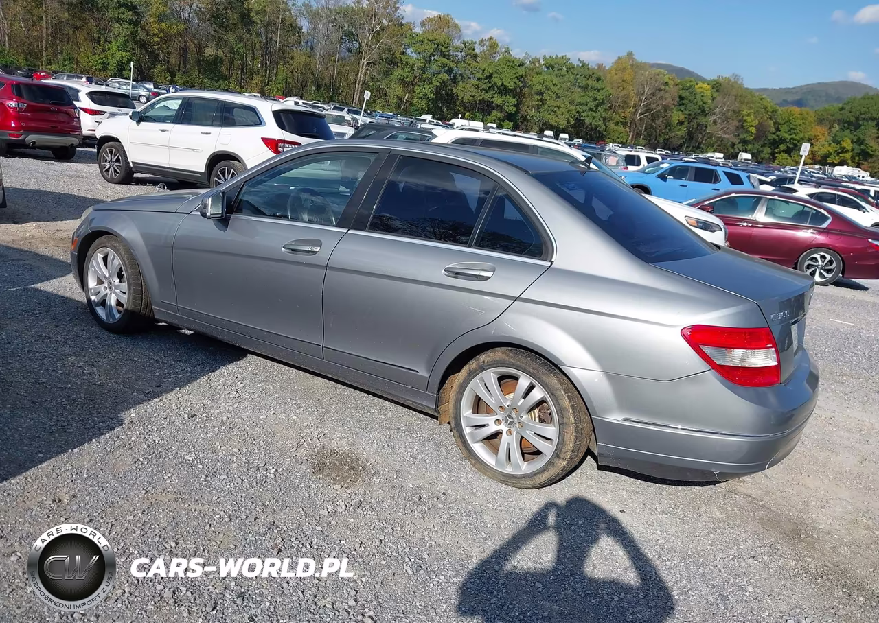 2010 Mercedes-Benz C 300 Luxury 4Matic VIN:WDDGF8BB1AR115283 - 3