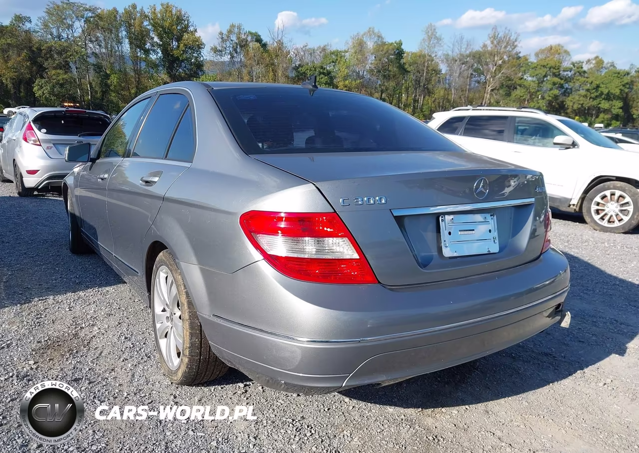 2010 Mercedes-Benz C 300 Luxury 4Matic VIN:WDDGF8BB1AR115283 - 6