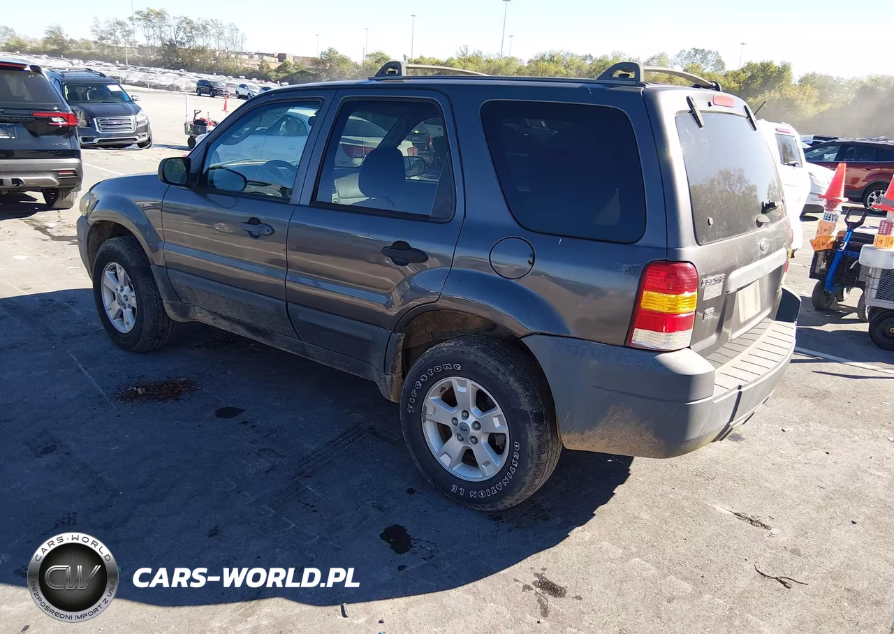 2006 Ford Escape Xlt-Xlt Sport VIN:1FMYU931X6KC43193 - 3