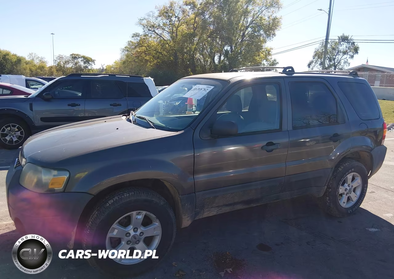 2006 Ford Escape Xlt-Xlt Sport VIN:1FMYU931X6KC43193 - 6