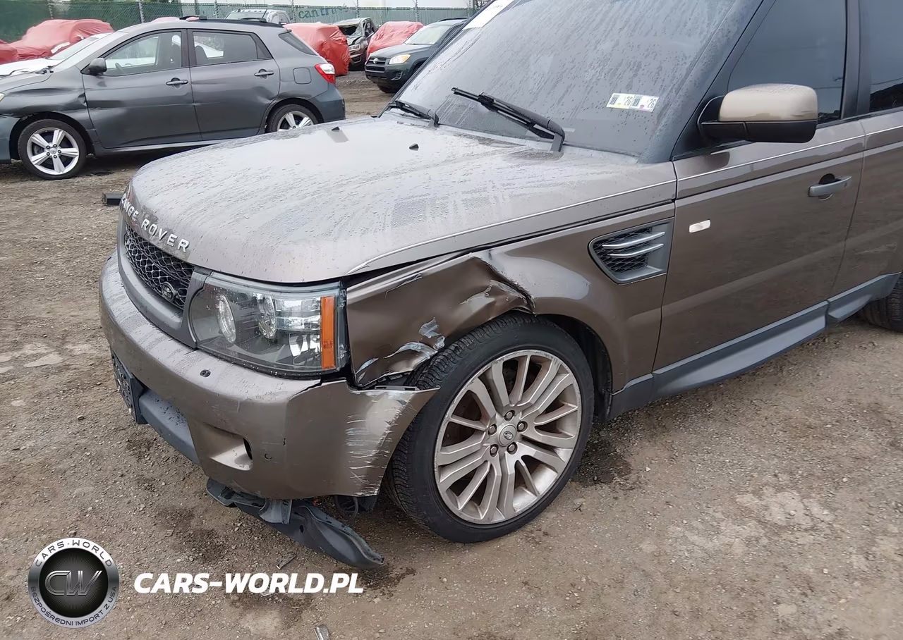 2010 Land Rover Range Rover Sport Hse VIN:SALSK2D41AA229609 - 6