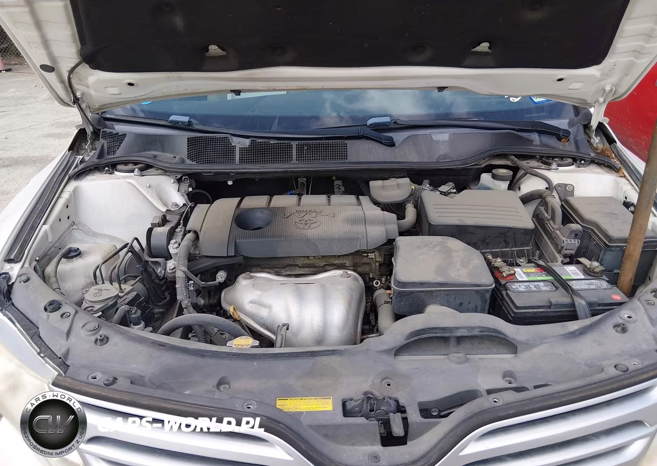 2010 Toyota Venza VIN:4T3ZA3BB7AU023695 - 10