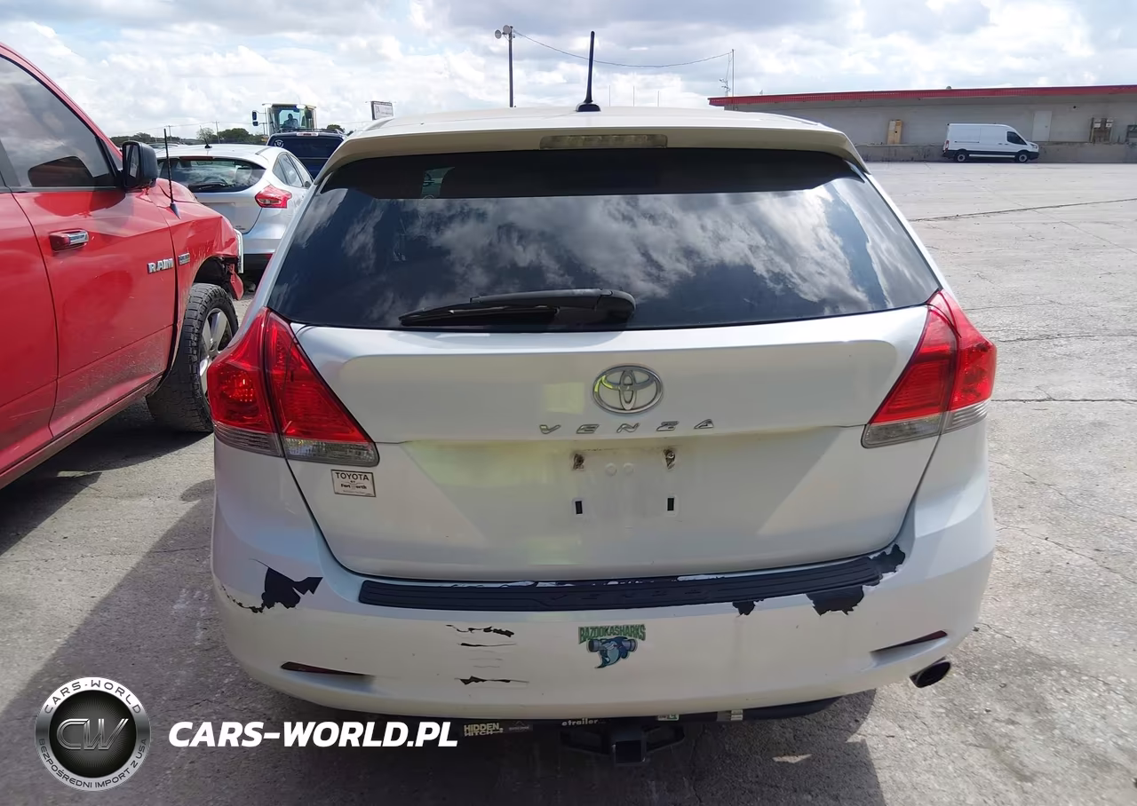 2010 Toyota Venza VIN:4T3ZA3BB7AU023695 - 16