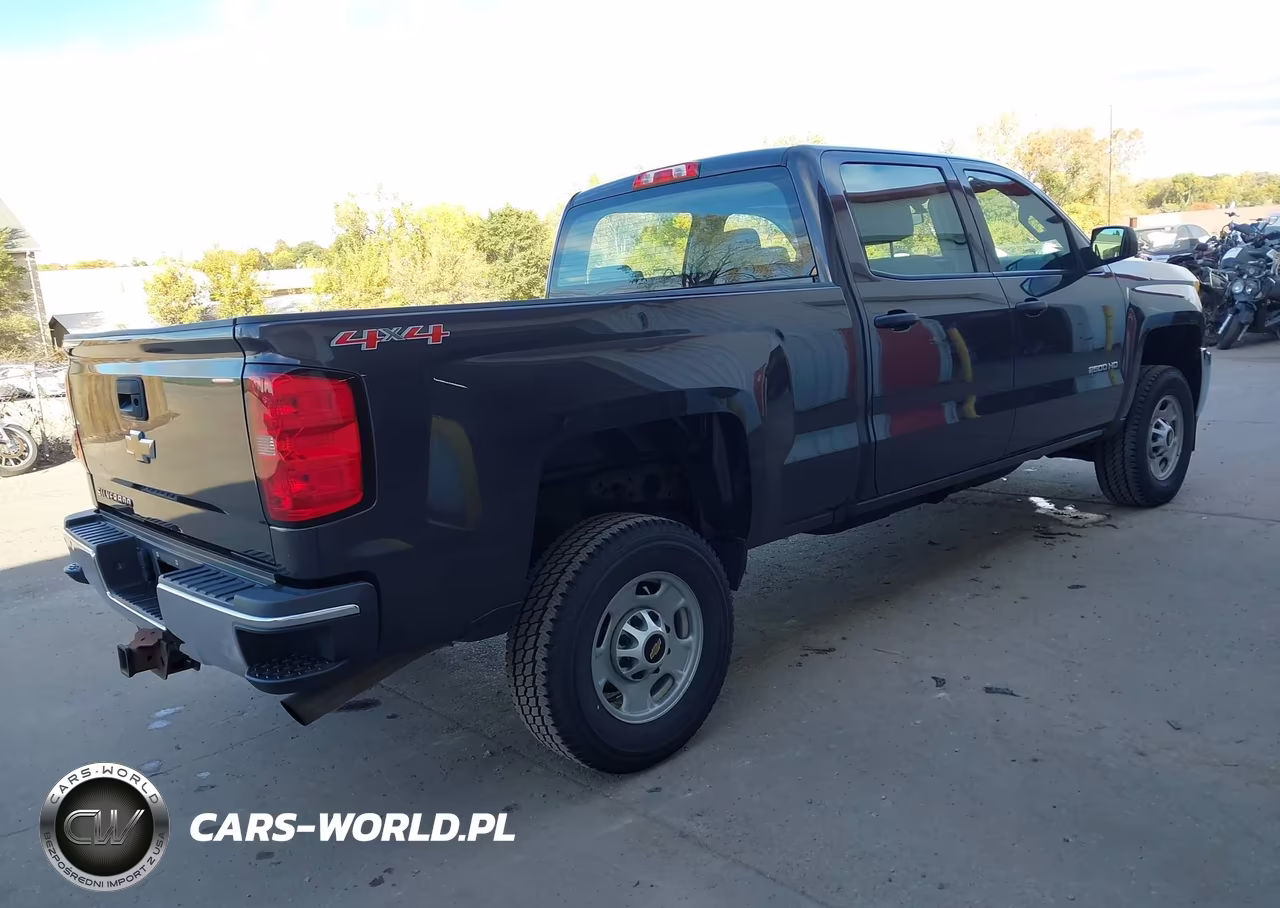 2016 Chevrolet Silverado 2500Hd Wt VIN:1GC1KUEG3GF187821 - 4