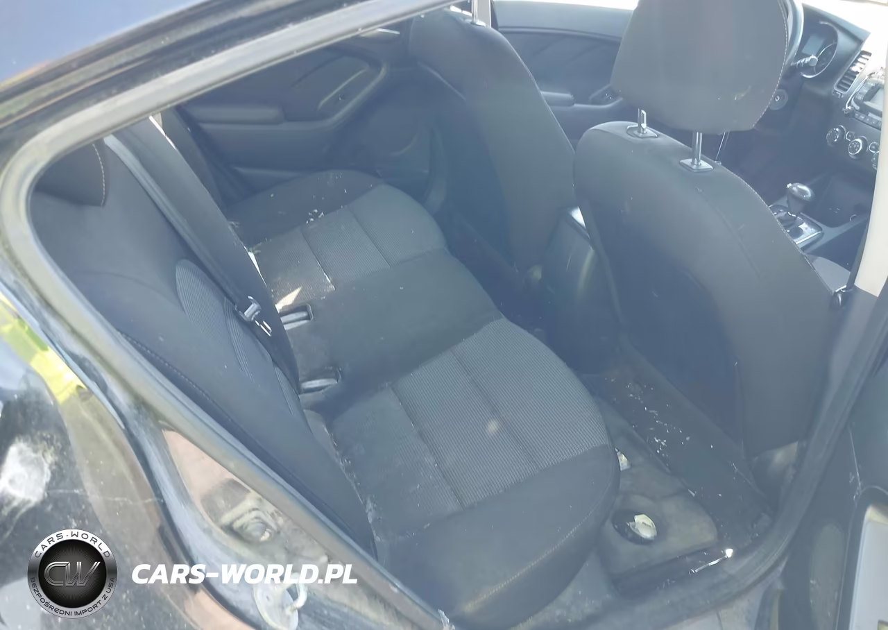 2017 Kia Forte Lx VIN:3KPFK4A7XHE062578 - 13