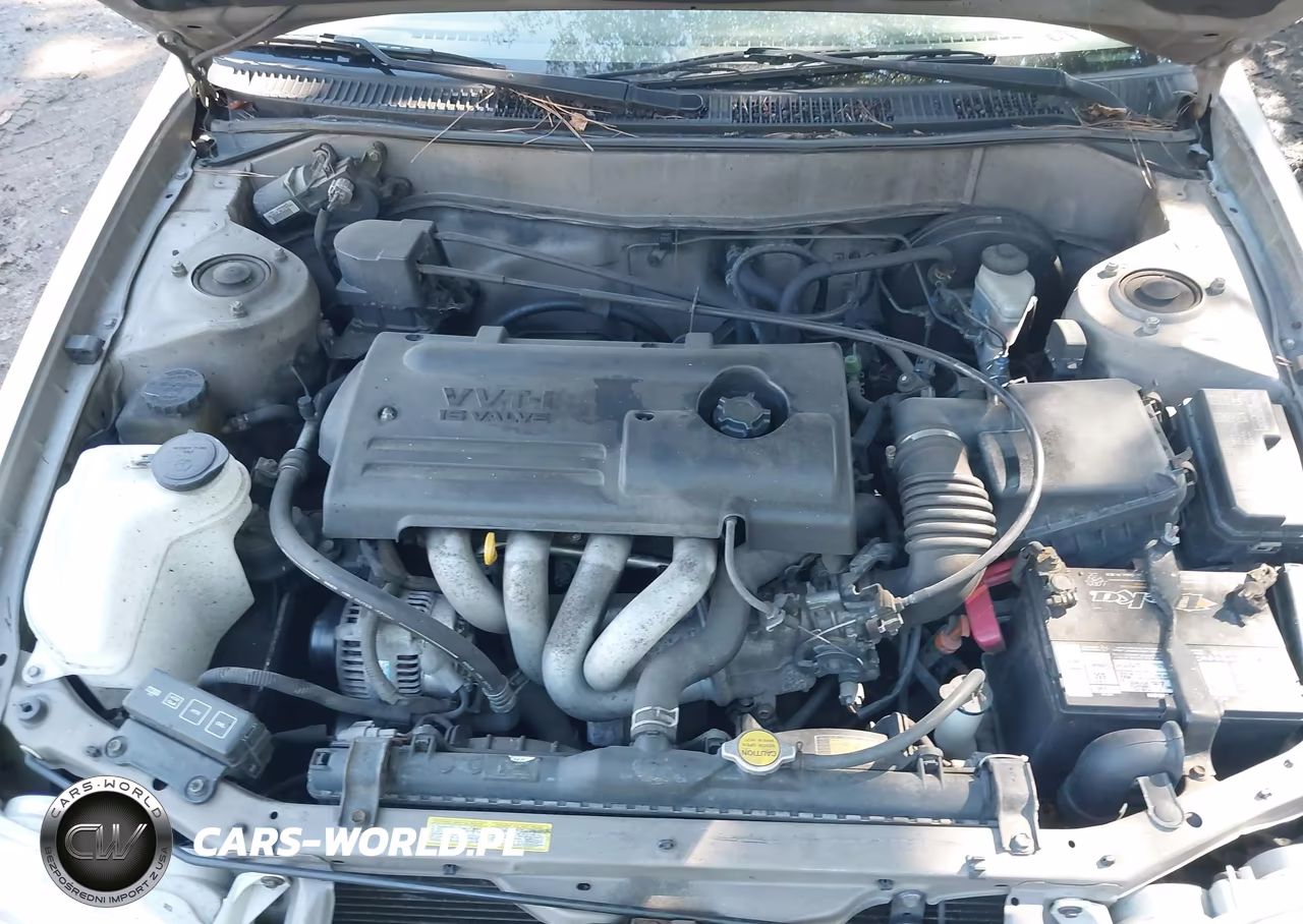 2002 Toyota Corolla Le VIN:1NXBR12E82Z618669 - 10