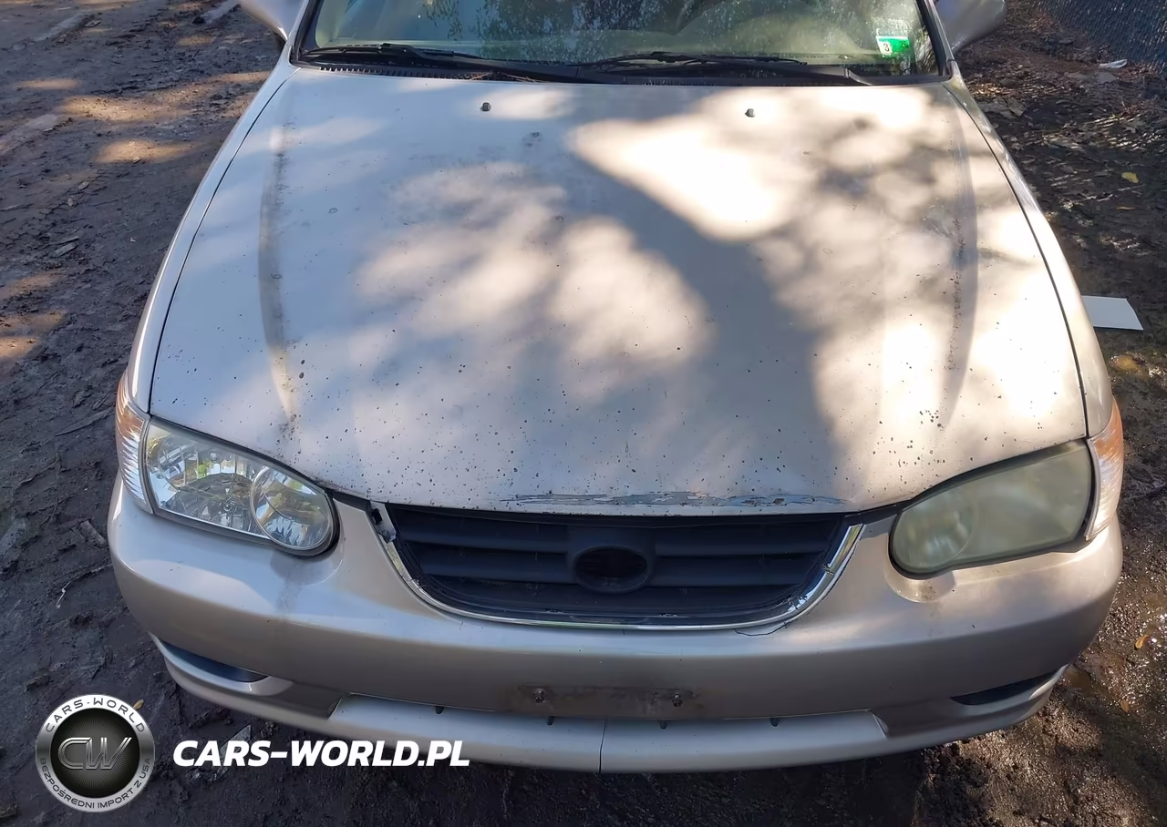 2002 Toyota Corolla Le VIN:1NXBR12E82Z618669 - 6