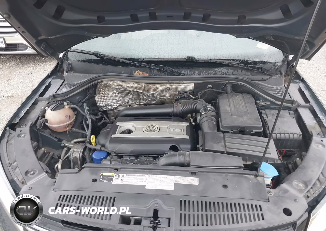 2016 Volkswagen Tiguan S VIN:WVGAV7AX9GW501787 - 10