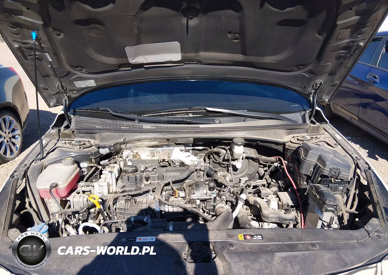 2022 Hyundai Elantra N VIN:KMHLW4AK1NU001852 - 10