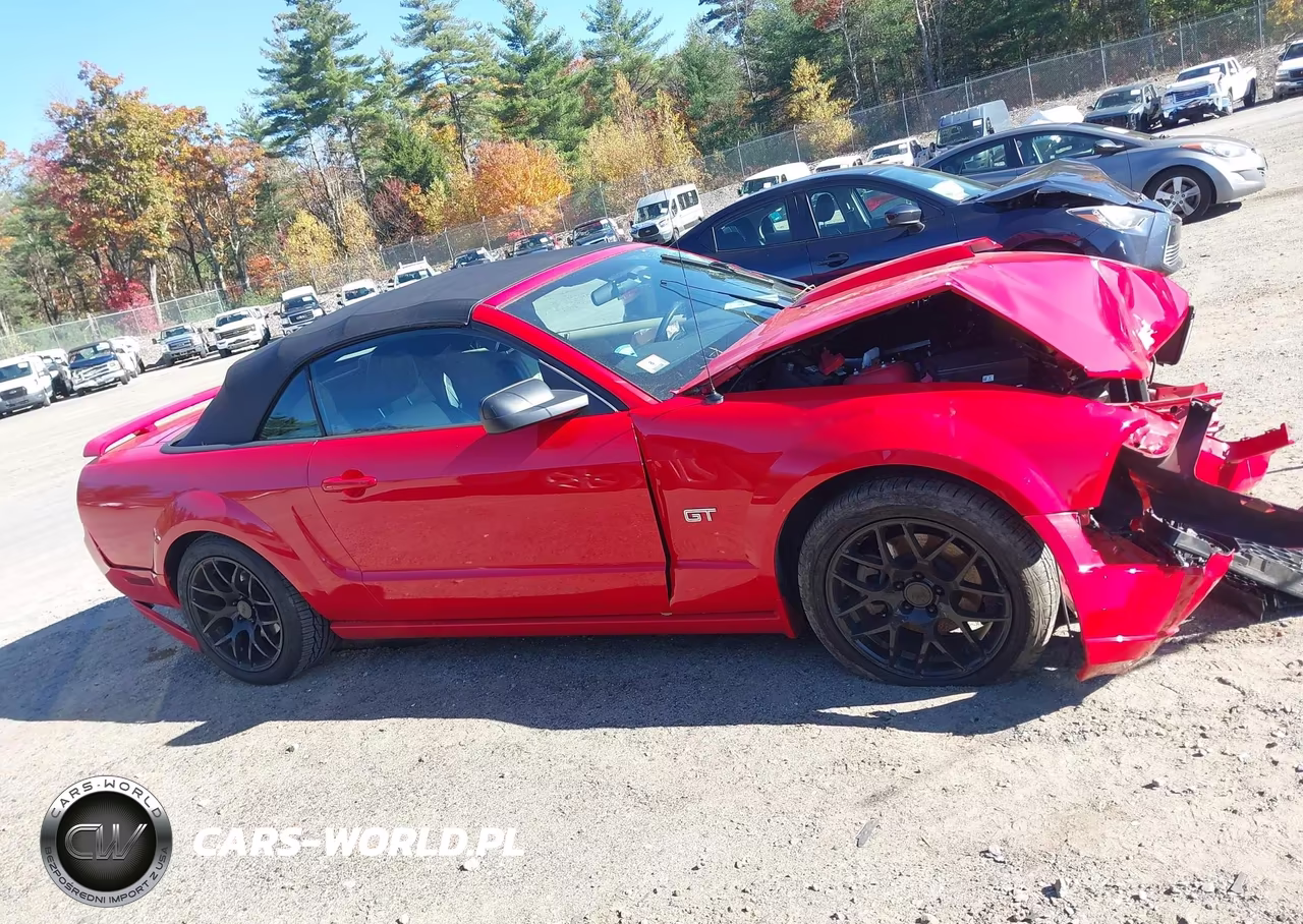 2005 Ford Mustang Gt VIN:1ZVFT85H055233155 - 14