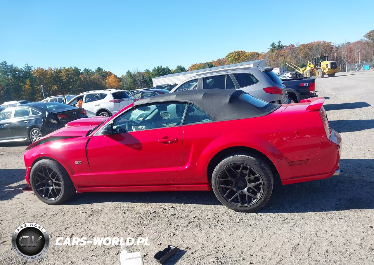2005 Ford Mustang Gt VIN:1ZVFT85H055233155 - 15